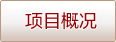 项目概况