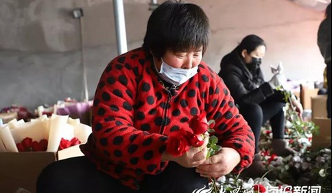 新春走基层：179万阅读量！17万订单！300万枝招贤玫瑰售出！