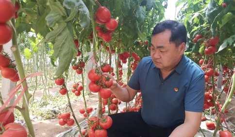 每年出口蔬菜过亿元，这个小村怎么做到的